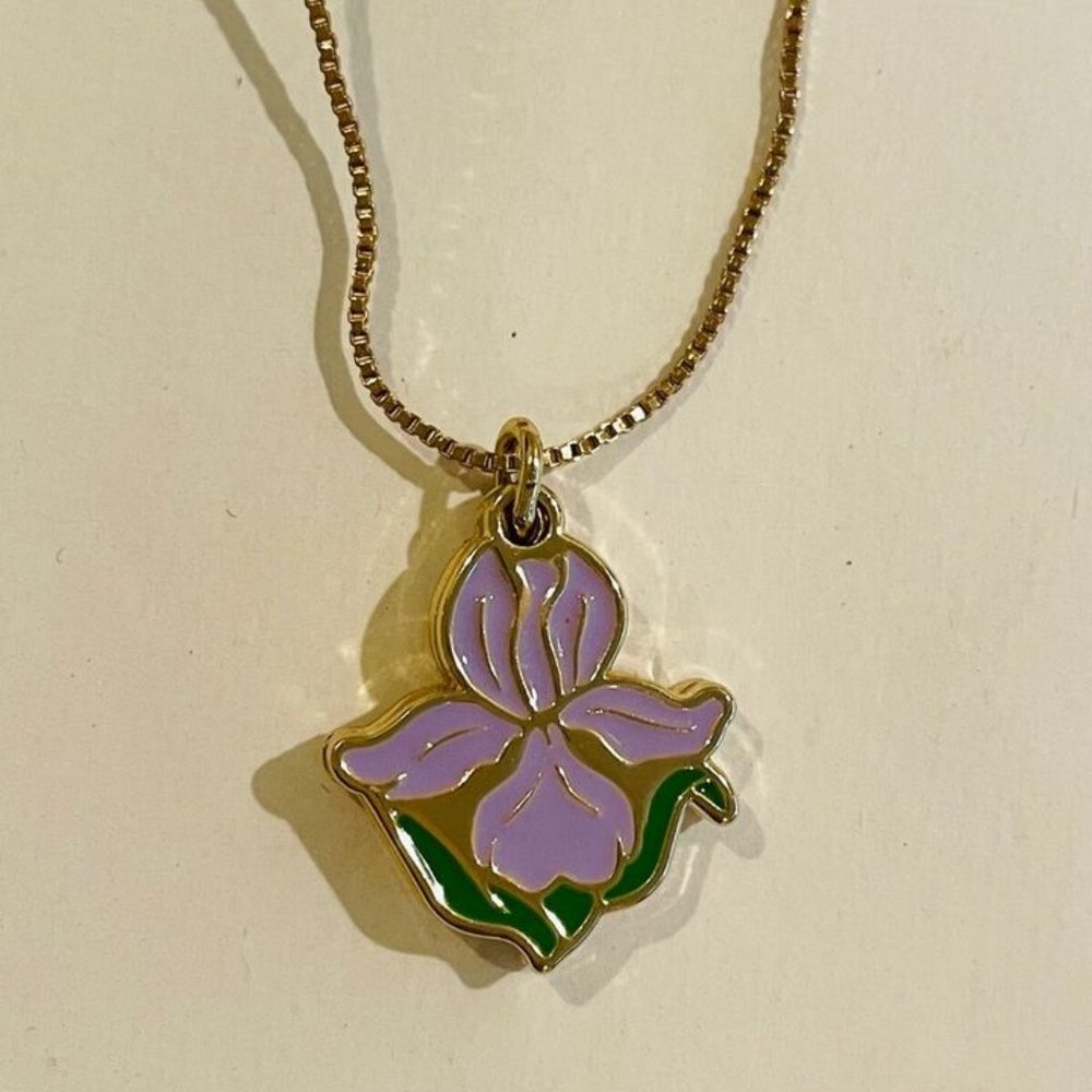 Alex and Ani Iris/Friendship charm Gold Plated Necklace 18" Adjustable
